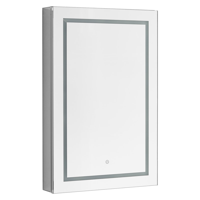 Orren Ellis Donnie Recessed or Surface Mount Frameless 1 Medicine